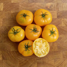 Azoychka, Tomato Seeds